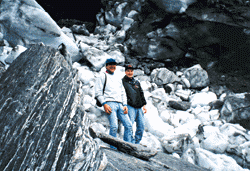 Fox Glacier, South Island