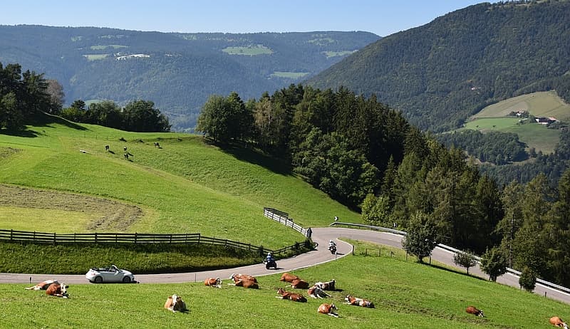 Little road near Bolzano