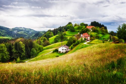 Black Forest Countryside